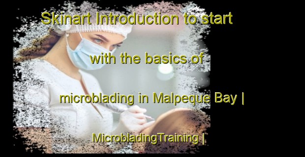 Skinart Introduction to start with the basics of microblading in Malpeque Bay | MicrobladingTraining | MicrobladingClasses | SkinartTraining-Canada